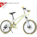 Ly-C-600 20" Cool Mountain Bike for Children